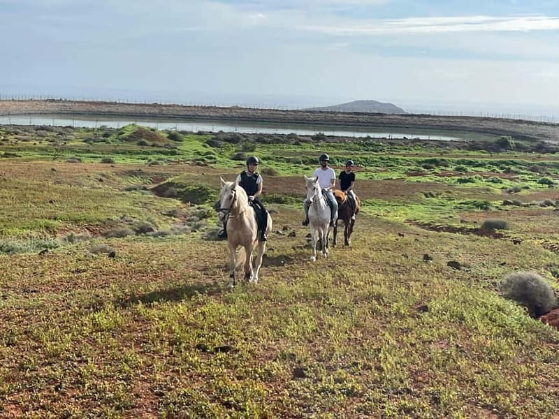 1 hour relaxing horse riding tour in Gran Canaria - Arena practice: why this first stage is such good value