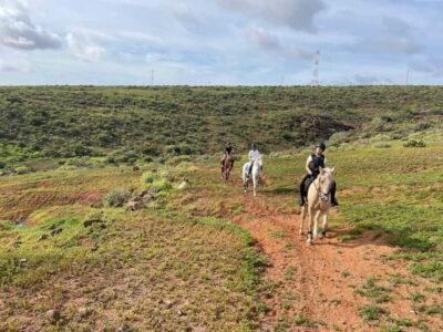 1 hour relaxing horse riding tour in Gran Canaria - The brief instruction: walk skills before you head out