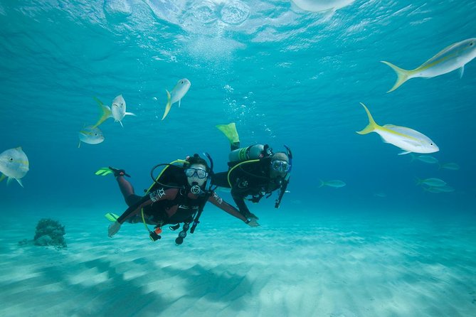 2 Day PADI Scuba Diver Course in Puerto Rico, Gran Canaria - Day 1: Confined Water Training (9am–2pm)