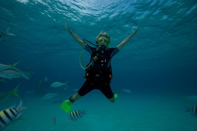 2 Day PADI Scuba Diver Course in Puerto Rico, Gran Canaria - Small Group Coaching: Why Max 6 Can Change Everything