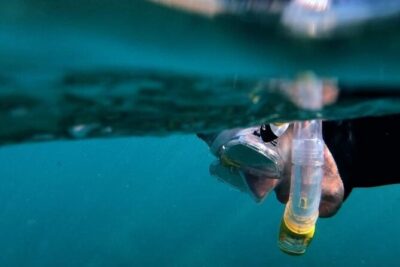 2-Hour Afternoon Snorkeling Experience in Gran Canaria by Boat - Meeting at Blue Water base: gear up and get briefed