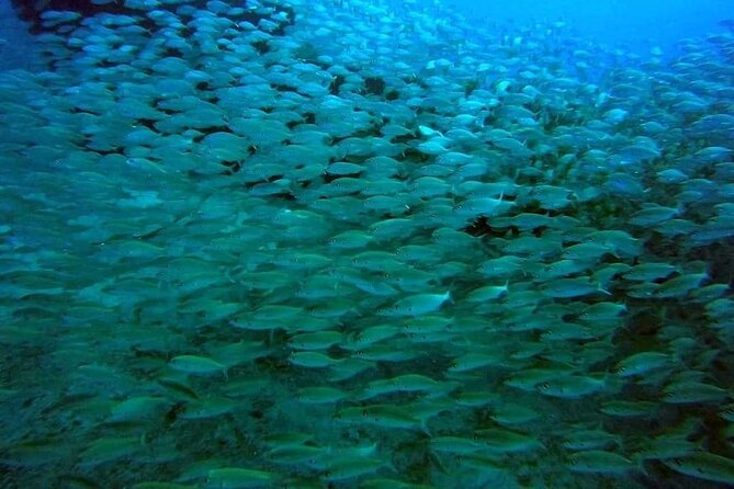 2-Hour Afternoon Snorkeling Experience in Gran Canaria by Boat - Price and value: is $53.61 worth it?