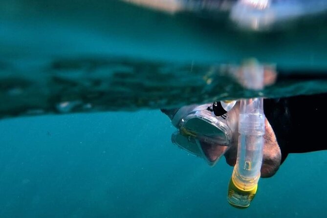 2-Hour Afternoon Snorkeling Experience in Gran Canaria by Boat - Meeting at Blue Water base: gear up and get briefed
