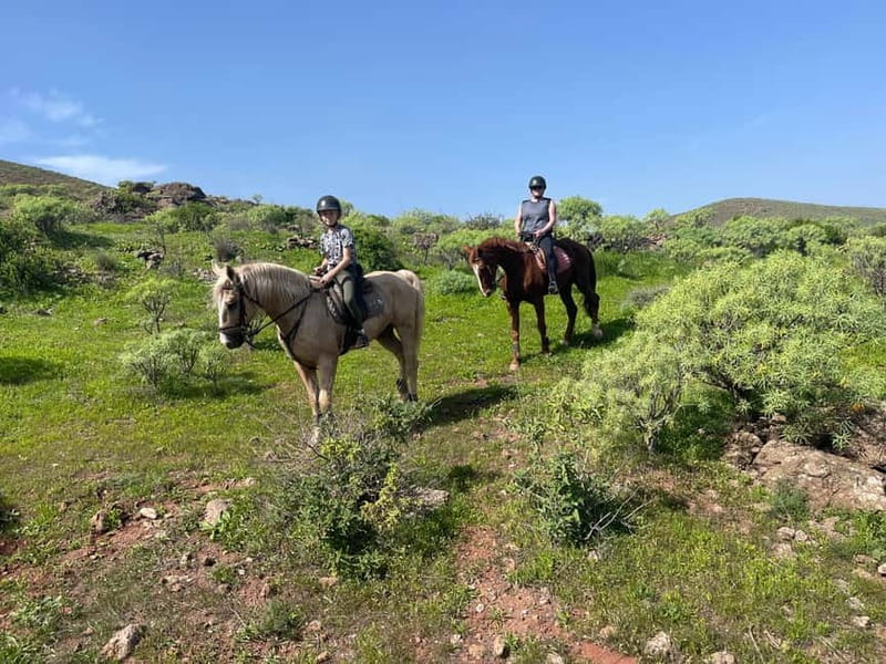 2 hours Green Mountains Horse Riding Tour - Fast reasons to go (Green Mountains ride)