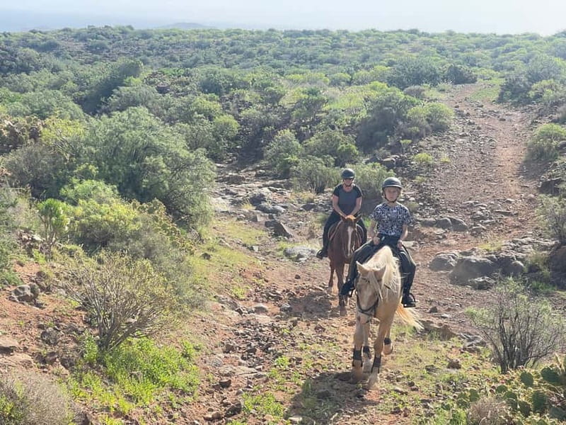 2 hours Green Mountains Horse Riding Tour - Small group size: up to 8 people, more attention per person