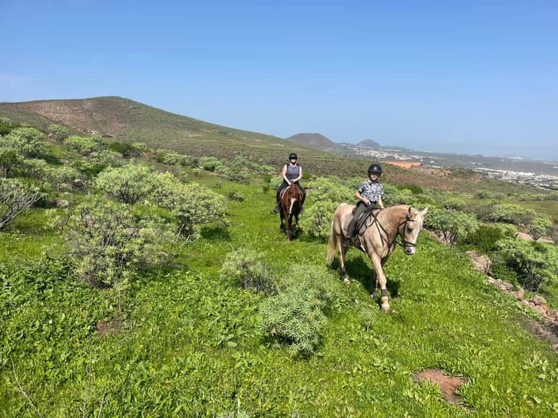 2 hours Green Mountains Horse Riding Tour - Where the ride starts: Horse Riding Canaria in Ojos de Garza