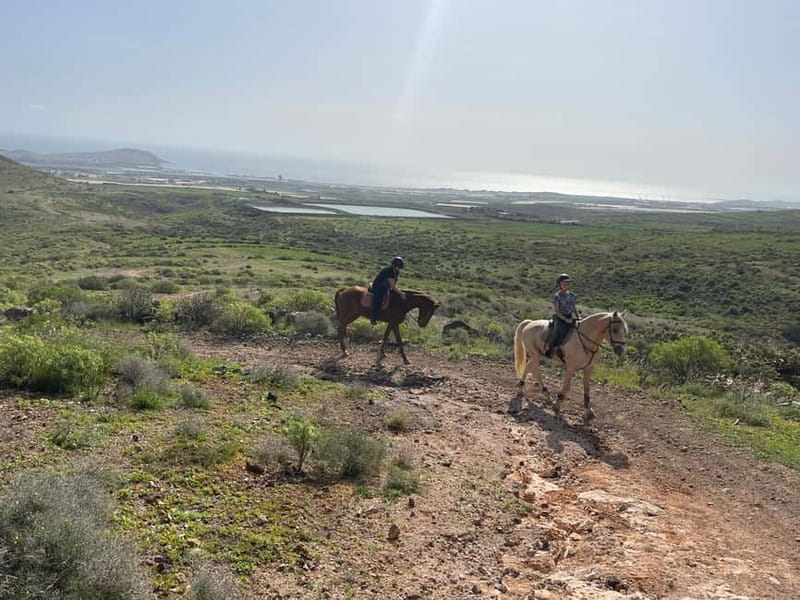 2 hours Green Mountains Horse Riding Tour - The viewpoint route over Las Palmas to Arinaga