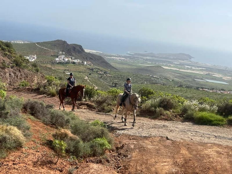 2 hours Green Mountains Horse Riding Tour - What you’ll actually do on the horse: beginners vs advanced
