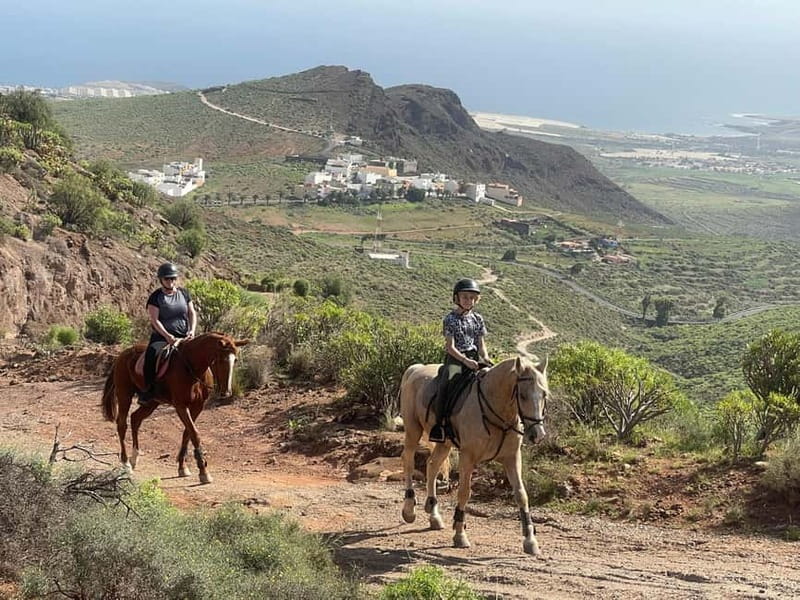 2 hours Green Mountains Horse Riding Tour - How long is the tour, and what that means for your day