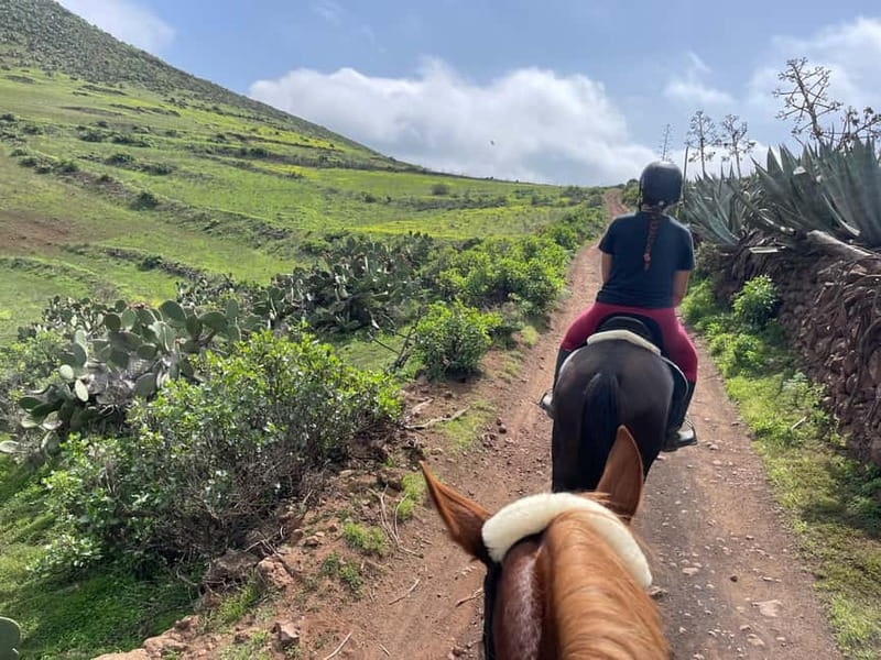 2 hours Green Mountains Horse Riding Tour - Price and value: why $96 for gear + guide usually works