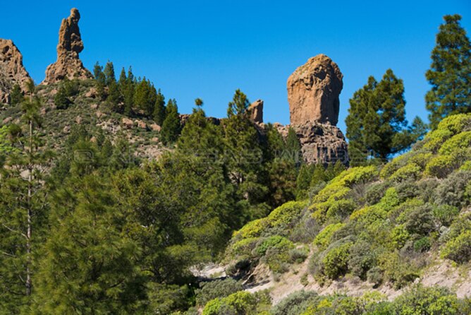 3-Hour Hiking Experience in Roque Nublo - Why Roque Nublo feels different on your feet