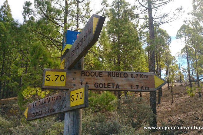 3-Hour Hiking Experience in Roque Nublo - Climbing to the monument: what the ascent really feels like