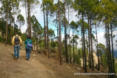 3-Hour Hiking Experience in Roque Nublo - Stop 1 and the drive approach: Mirador Degollada de la Yegua