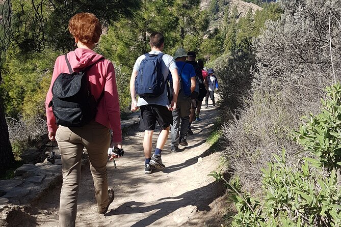 3-Hour Hiking Experience in Roque Nublo - Descending from Roque Nublo: where trekking poles help