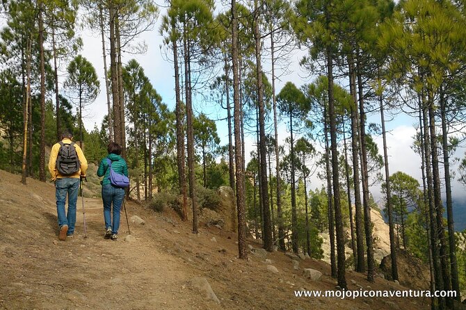 3-Hour Hiking Experience in Roque Nublo - Stop 1 and the drive approach: Mirador Degollada de la Yegua