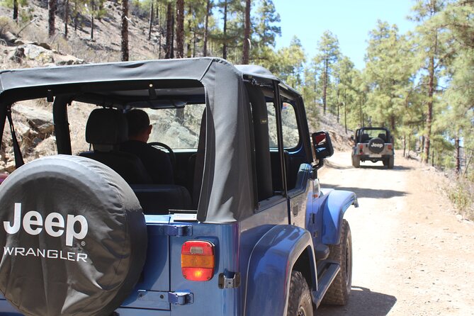 Adventure Driving Jeep Tour in Gran Canaria - Key Highlights You’ll Feel Right Away