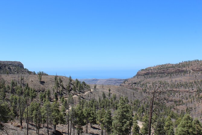 Adventure Driving Jeep Tour in Gran Canaria - Arguineguín: From Fishing Village Roots to a Working Coast
