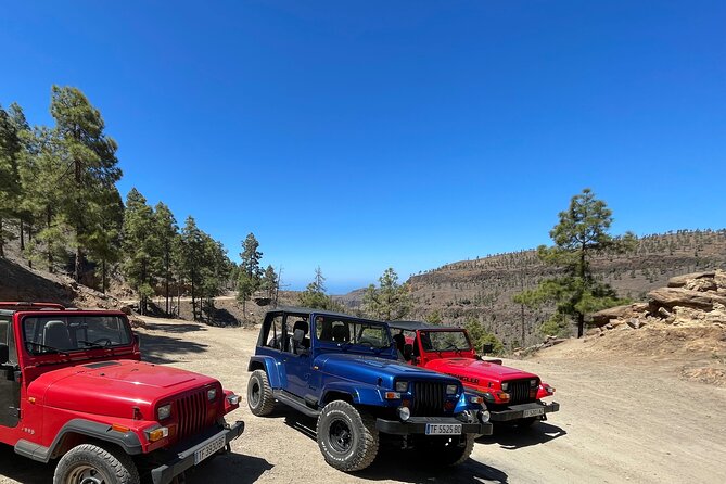 Adventure Driving Jeep Tour in Gran Canaria - Driving Adventure vs. Standard Sightseeing: What You’ll Actually Gain