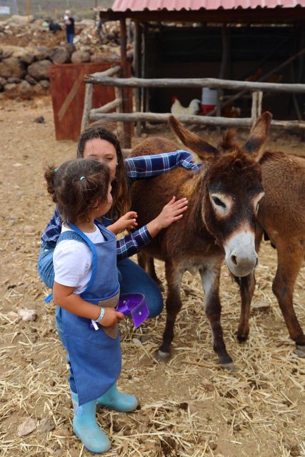Agüimes : Be a farmer for the day at La Jaira de Ana - Key Takeaways Before You Go