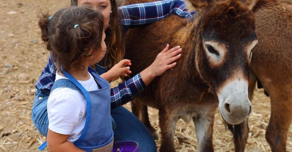 Agüimes : Be a farmer for the day at La Jaira de Ana - Milking and Feeding: The Skills Behind the Smile