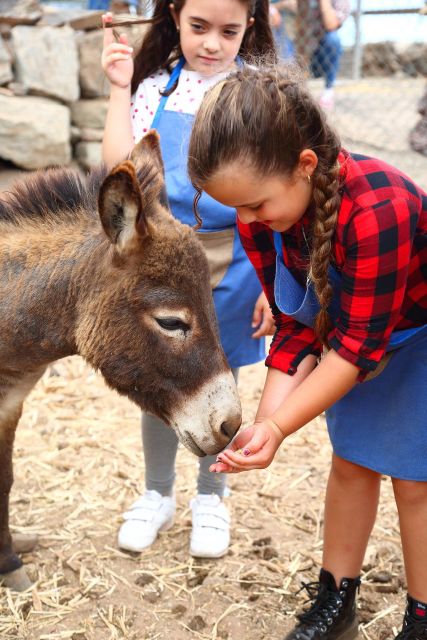 Agüimes : Be a farmer for the day at La Jaira de Ana - Who This Farm Day Works Best For
