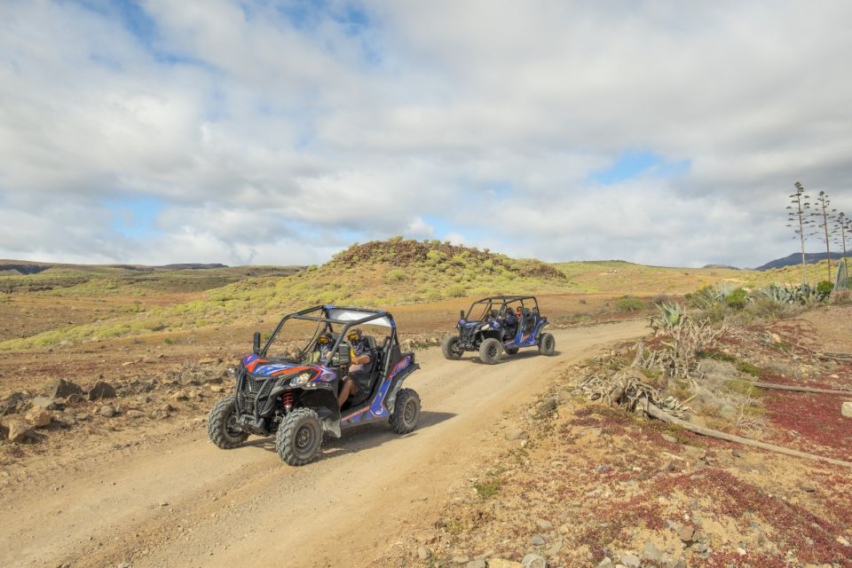 Anfi beach: Guided Buggy Tour. - Price and value: is $175 for two worth it?