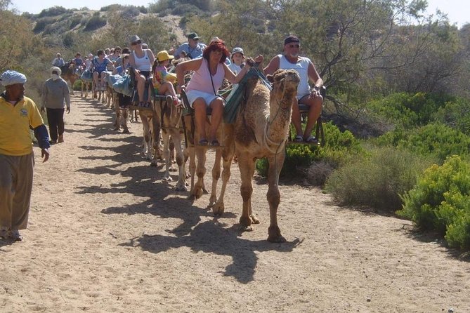 Camel Riding in Maspalomas Dunes - Price and Value: Is $21.63 Worth It?
