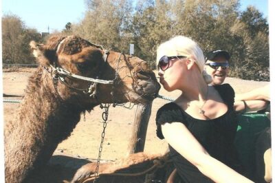 Camel riding in the dunes of Maspalomas - Camel Safari C. Oceanía: meeting point and how to not lose time