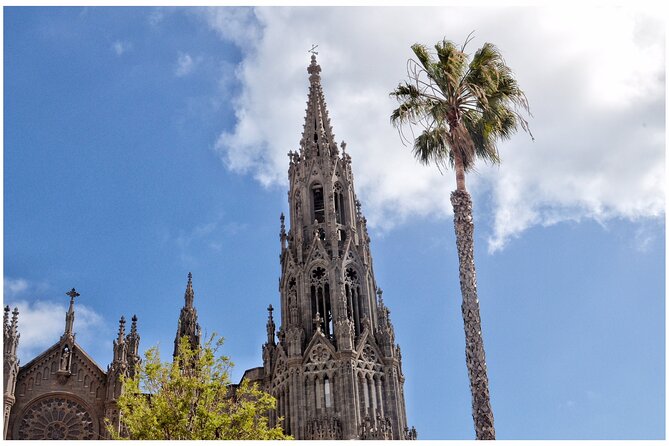 Coffee & Wine: North Route of Gran Canaria Tour - Coffee And Wine North Route: What You Get For $62.48