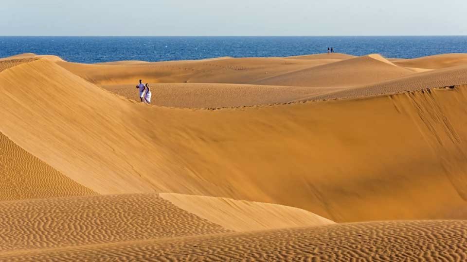 E-Bike City Tour with Camel Safari on Maspalomas Sand Dunes - Maspalomas Reserve and the blue lagoon: nature that adds meaning