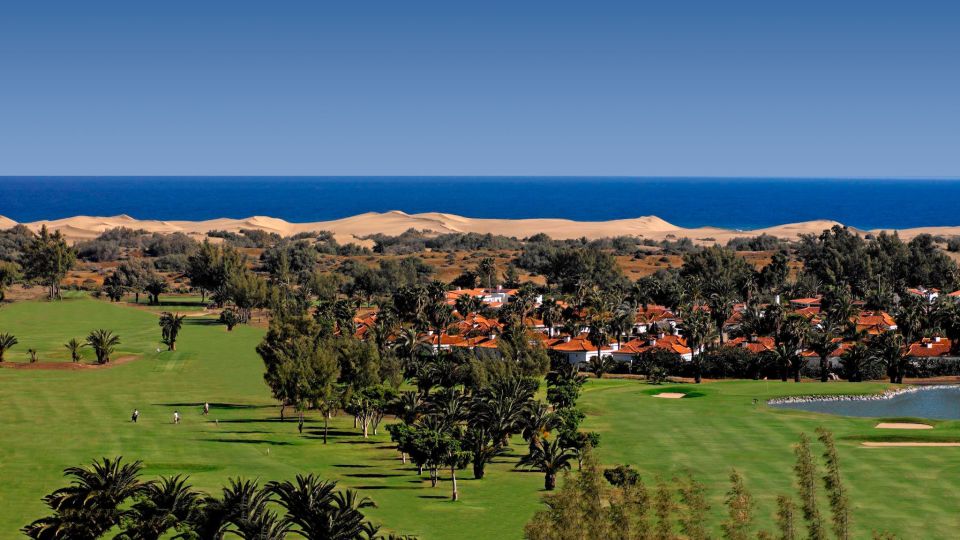 E-Bike City Tour with Camel Safari on Maspalomas Sand Dunes - The camel safari in the dunes: the iconic part, with real expectations