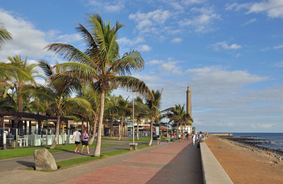 E-Bike City Tour with Camel Safari on Maspalomas Sand Dunes - Family-friendly details that matter on a real outing