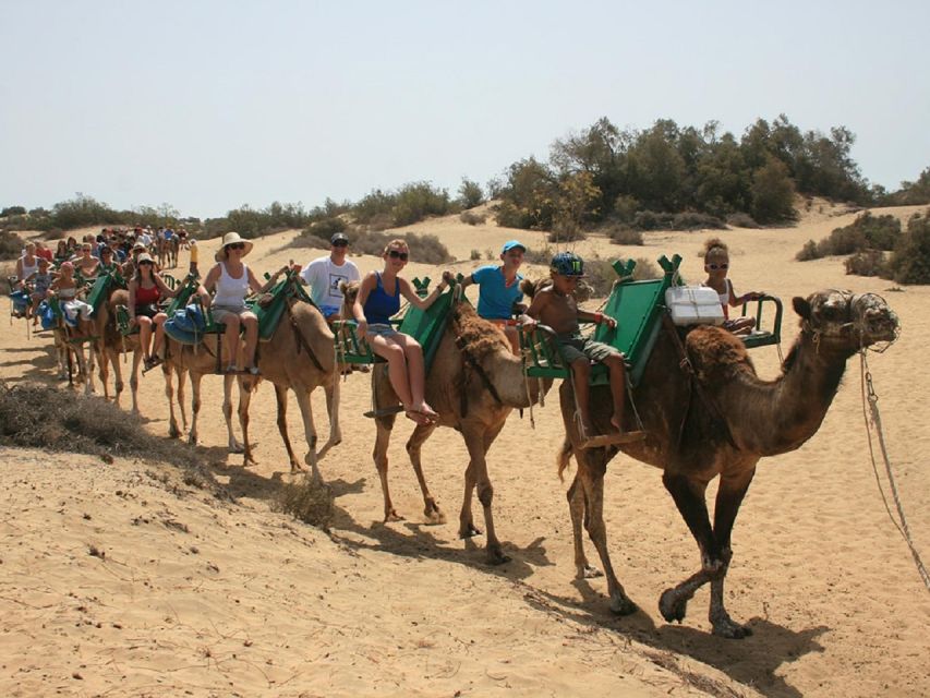 E-Bike City Tour with Camel Safari on Maspalomas Sand Dunes - Price, value, and who this tour fits best