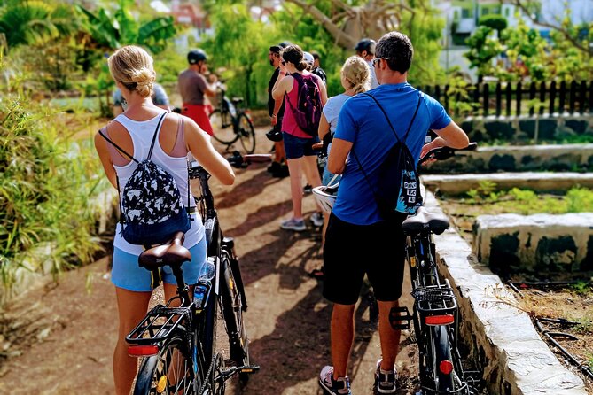 E-Bike CitySightseeing: Maspalomas Dunes, Playa Ingles, Meloneras - The Return Ride: Green Cycle Paths That Keep the Fun Going