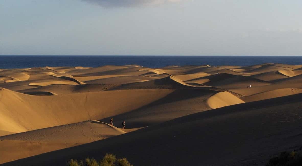 E-Bike Family Tour : Sightseeing Maspalomas Playa del Ingles - Included extras that make the hour feel complete
