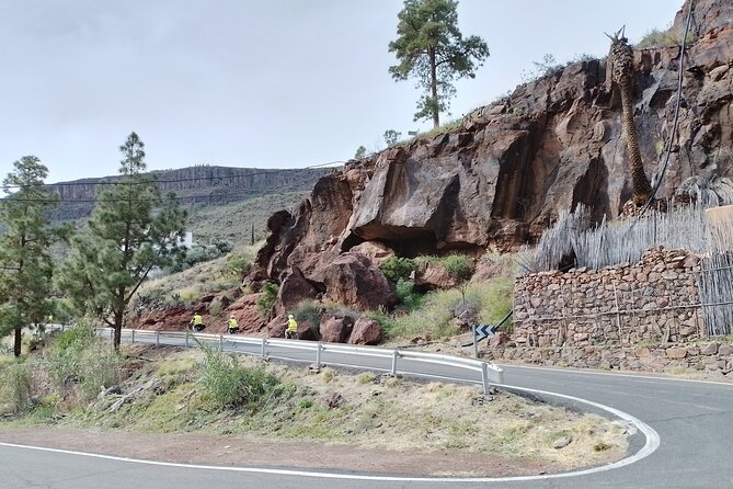 e-Bike Mountain Tour inside a Natural Park+option Tapas in a Cave - La Cuevita cave tapas: the optional stop you’ll likely remember