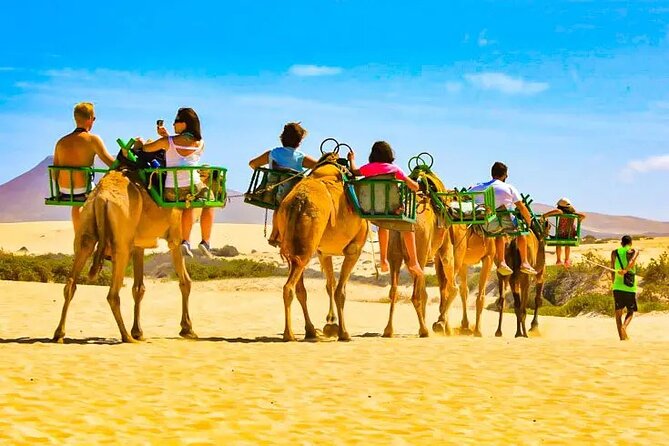 e-Scooter City Tour + Camel Ride inside Maspalomas Dunes - Getting started at Bici Bike Vintage (and what you’ll need)