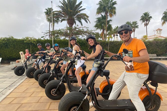 e-Scooter City Tour + Camel Ride inside Maspalomas Dunes - La Charca: the birdwatching stop that actually has meaning