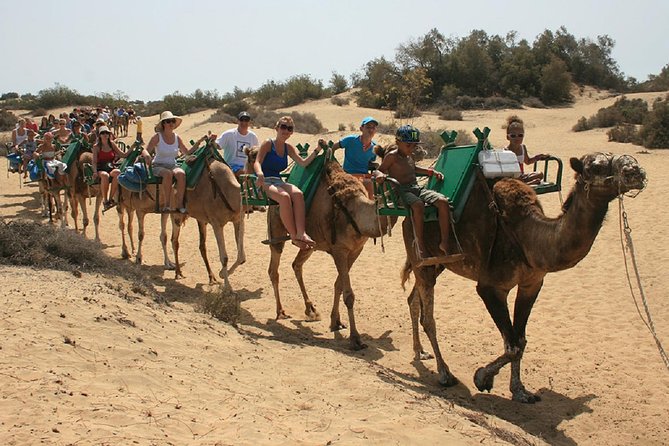 e-Scooter City Tour + Camel Ride inside Maspalomas Dunes - Crossing Campo del Golf and ending at Playa del Inglés