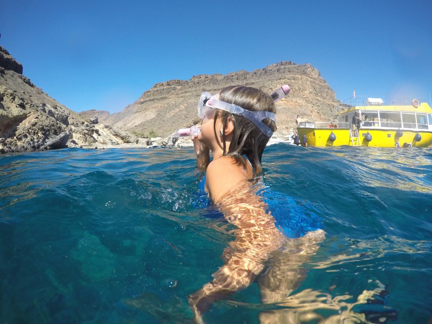 Explore Gran Canaria: Boat Tour with Wine & Food Tasting - Practical tips: seasickness, what’s allowed, and how to enjoy the tasting