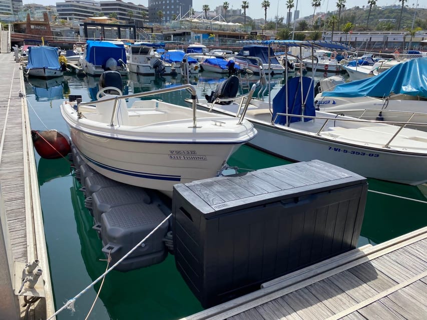 From las Palmas : Day sailing experience along the coast - How Las Palmas looks from sea level
