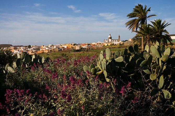 Full-Day Gran Canaria Island Tour - Cumbres - Cruz de Tejeda and Roque Nublo: the iconic stops that make the camera work