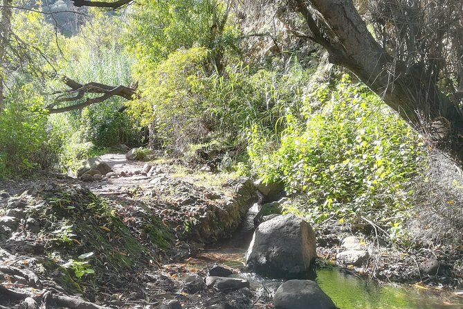 Full day Hiking and Waterfalls Experience - Key Highlights You’ll Care About