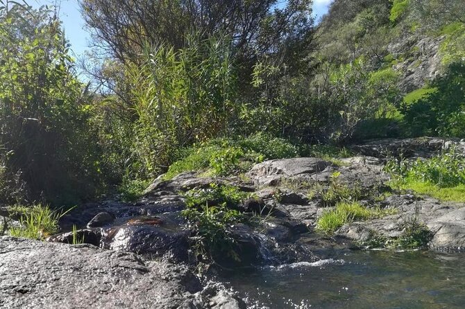 Full day Hiking and Waterfalls Experience - Start Time at 9:00, and How the Day Usually Flows