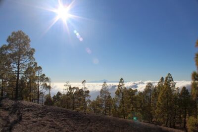 Full day Hiking Gran Canaria Peaks of Gran Canaria - Distances and durations: Monday vs Sunday/Wednesday