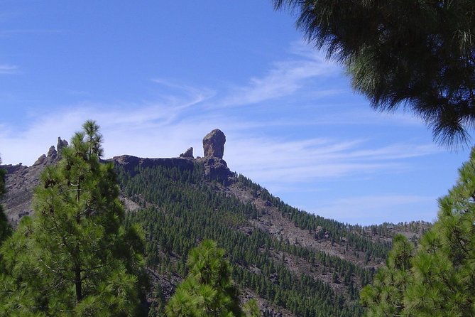Full-Day Tour Exploring History, Nature and Aloe Vera Farm - A full-day Gran Canaria loop that actually gives you a map of the island