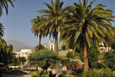 Full-Day Tour Exploring History, Nature and Aloe Vera Farm - Pickup, timing, and the reality of coach travel