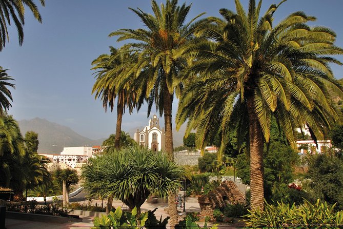 Full-Day Tour Exploring History, Nature and Aloe Vera Farm - Pickup, timing, and the reality of coach travel