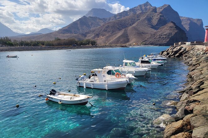 Full Private Tour of Gran Canaria with Natural Pools - Playa de la Aldea and El Charco: the only easy beach on that coast