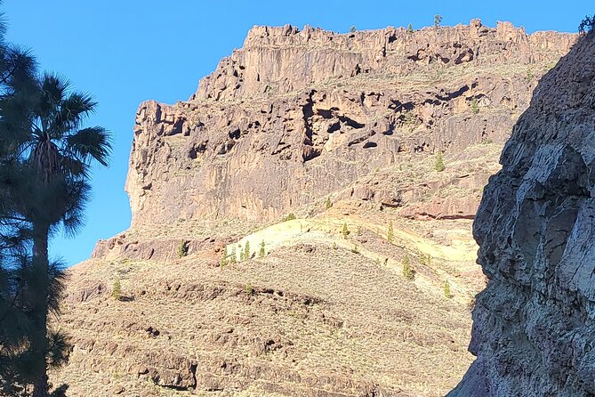 Full Private Tour of Gran Canaria with Natural Pools - Puerto de las Nieves: fish lunch with sea views, plus Dedo de Dios